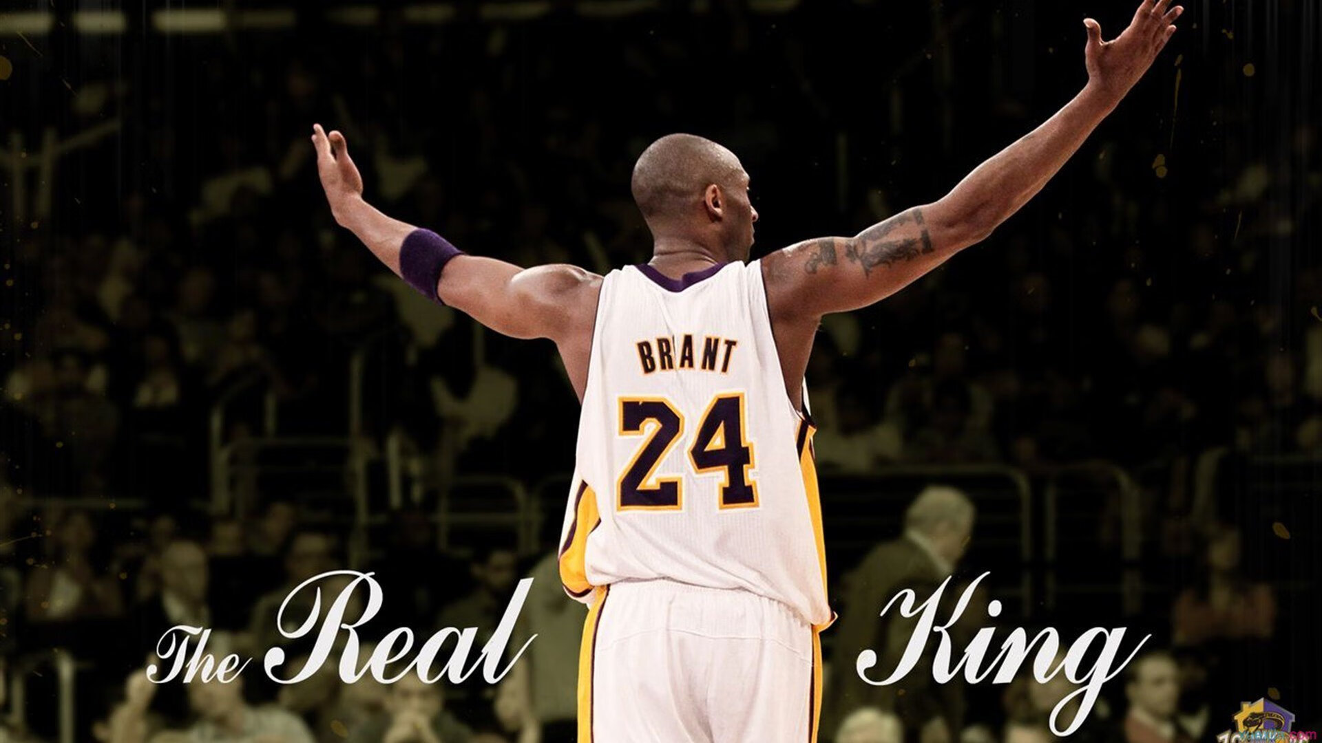 _科技助力运动：智能穿戴助攻运动表现_，智能运动穿戴设备